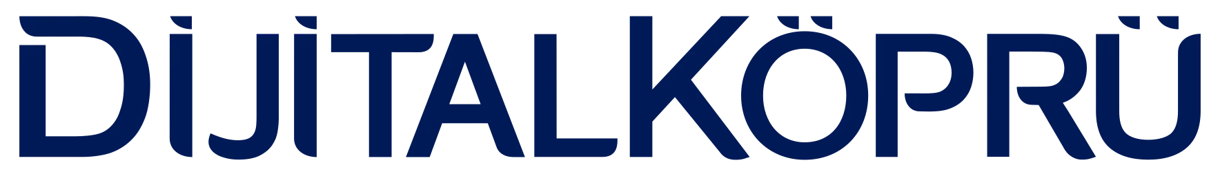 QNB Dijital Köprü Logo